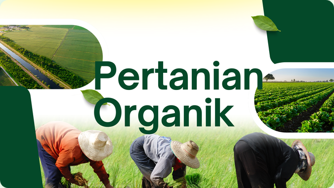 Rahasia Tanaman Subur dan Tanah Sehat untuk Panduan Lengkap Pupuk Organik untuk Pemula
